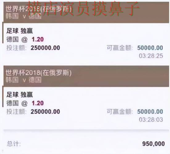 世界杯投注平台合集汇总：稳定性评测全指南 - 世界杯直播